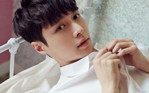 Top10：世界上最危险的眼镜蛇：眼镜王蛇